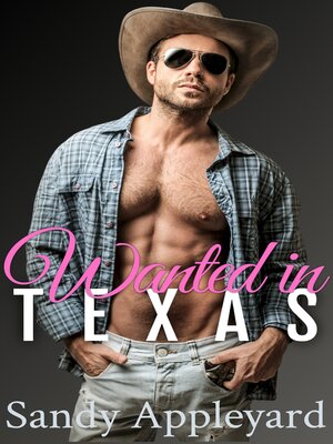 cover image of Wanted in Texas